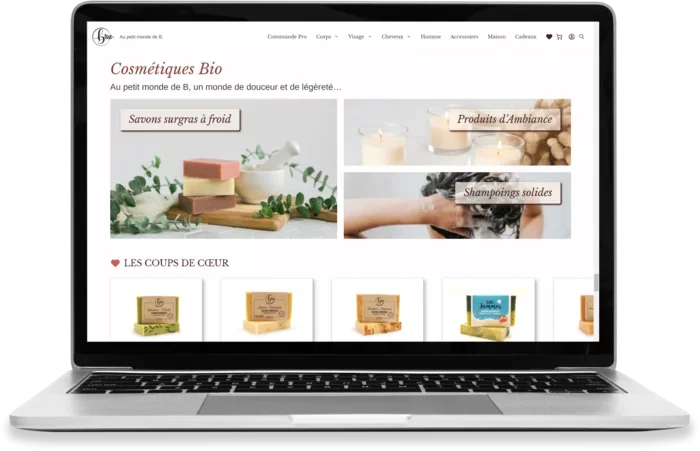 capture d'écran de la page d'accueil d'un site WooCommerce réalisé par l'Agence Web Valenciennes