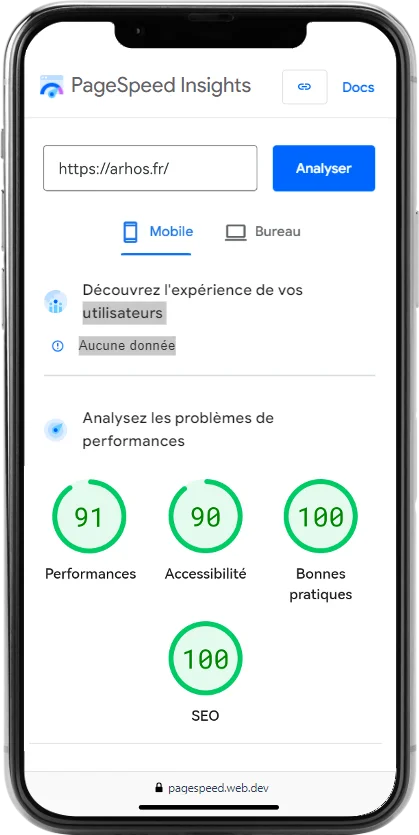 capture d'écran des performances d'un site réalisé par l'Agence Web Carvin