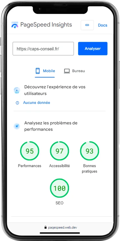 capture d'écran des performances d'un site réalisé par l'Agence Web Cysoing