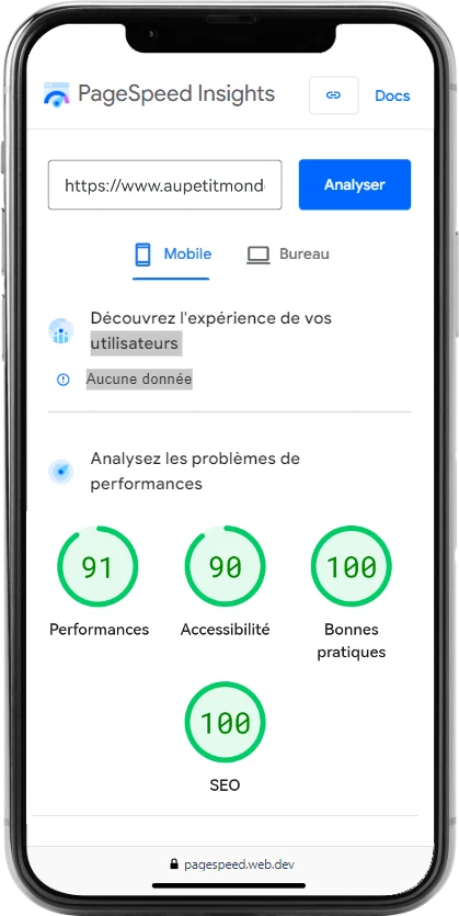 capture d'écran des performances d'un site e-Commerce réalisé par l'Agence Web Valenciennes